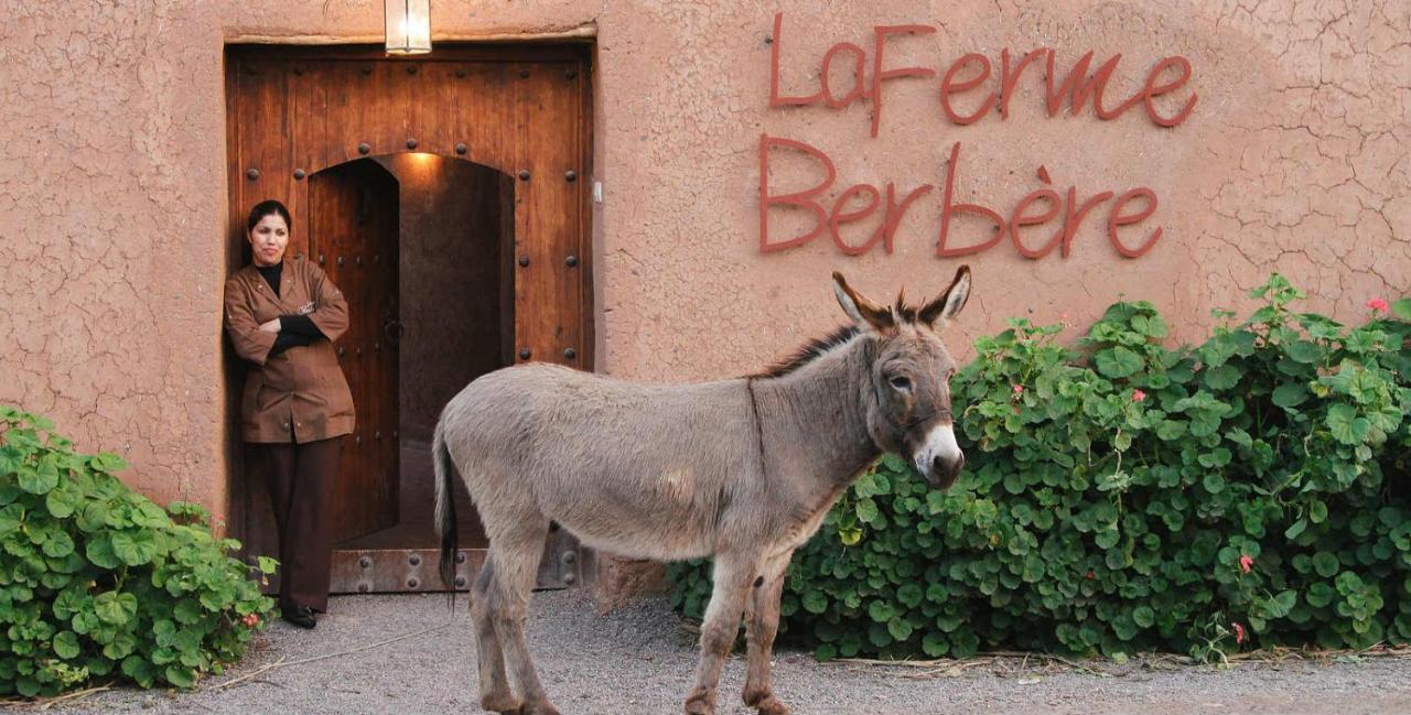 Bed and Breakfast La Ferme Berbere Adult Only El Harkat Zewnętrze zdjęcie