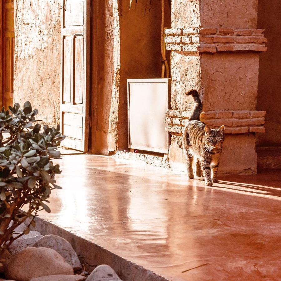Bed and Breakfast La Ferme Berbere Adult Only El Harkat Zewnętrze zdjęcie