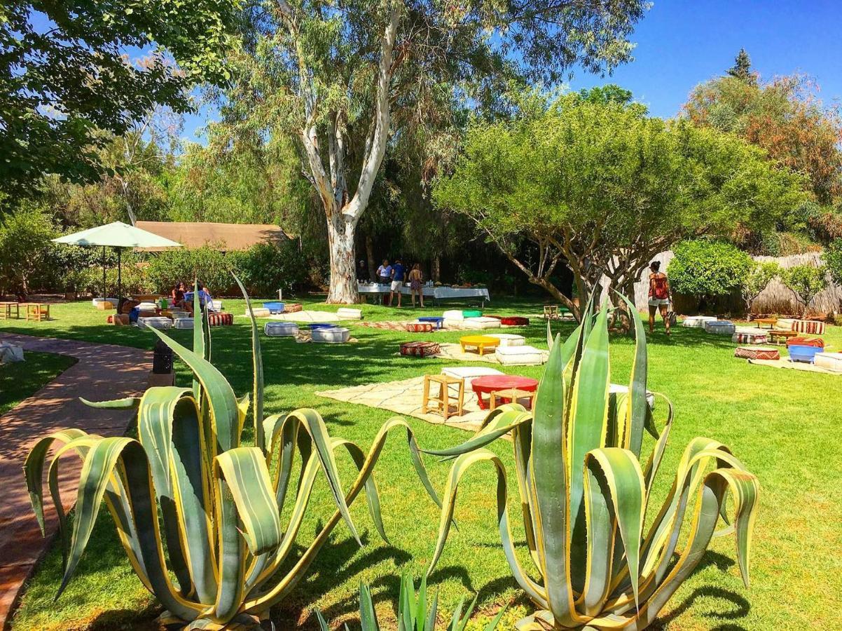 Bed and Breakfast La Ferme Berbere Adult Only El Harkat Zewnętrze zdjęcie